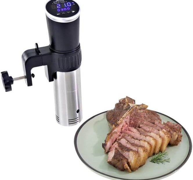 Termocirculador Sous Vide SV95